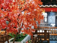 -杨记隆府重庆江湖菜(大悦城店)
