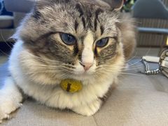 -白兔子密室(长寿路店)