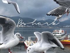 -海埂大坝