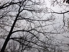 iphone_upload_pic-北京鹫峰国家森林公园