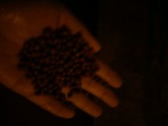 -黄山温泉国际旅游度假区