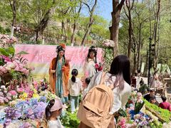 -云丘山景区