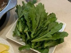 青菜-老城一锅羊蝎子火锅