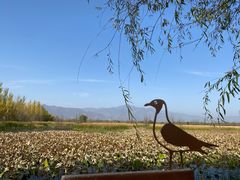 -野鸭湖国家湿地公园