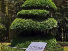 -苏州河梦清园环保主题公园