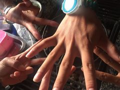 -蘑统田下·野生菌火锅