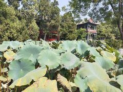 -莲池书院博物馆