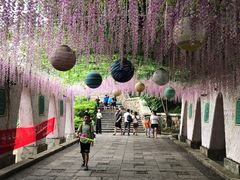 -虎英水上乐园