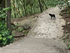 -黔灵山公园