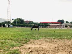 -意大利农场度假村