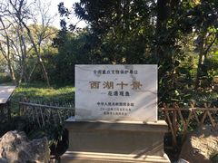 -西湖外事游船(花港观鱼码头)