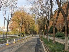 -后襄河公园