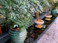 -旅马餐厅(茅家埠店)