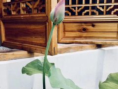 -福州市仓山小学