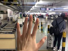 -上海浦东国际机场T1航站楼-P1停车场