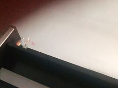 -茉莉餐厅(亳州高新万达广场希夷大道店)