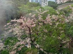 -尼依格罗香港美利酒店