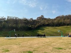 -羊山湖公园