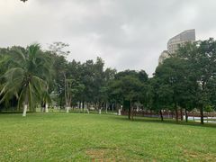 -万绿园