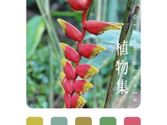 -中国科学院西双版纳热带植物园
