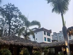 -茗情傣味