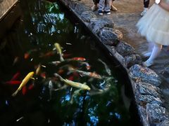 -勐丽梦兰傣味餐厅