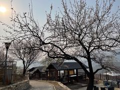 -潭柘厚院&山顶烤肉(潭柘寺店)