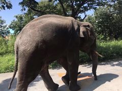 -西安秦岭野生动物园