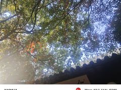 -黄埭中学