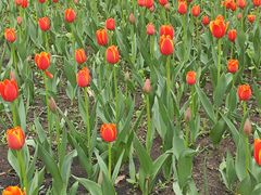 -长春公园(普阳街道)