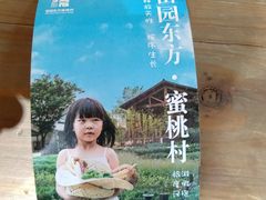 -田园东方蜜桃村的田野营地