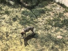 -鄂尔多斯野生动物园