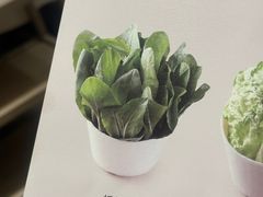 -纯味斑鱼府(中海环宇荟店)