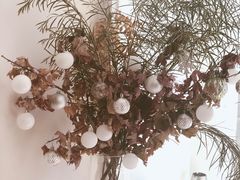 -echoes coffee回响咖啡(红山店)