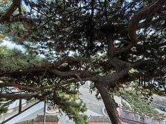 -妙峰山风景名胜区