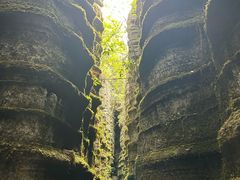 -梭布垭石林景区