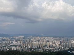 -长虫山生态公园风景林