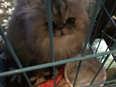 -赢吧Bliss音乐酒吧