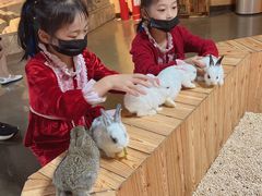 -昆明大悦城未来动物城(螺蛳湾中心店)