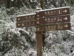 -武陵山森林公园