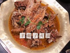 -芦月轩羊蝎子(劲松店)