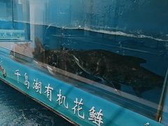-永安水煮活鱼·仪征土菜院子