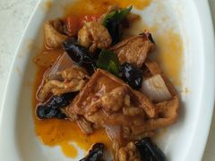 -云中小雅
