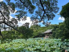 -江心屿景区