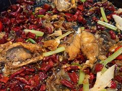 -老板恋上鱼(印象城店)