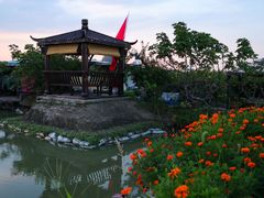 -樂桃源奉贤黄桃种植采摘基地