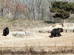 -北京野生动物园