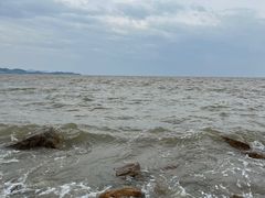 -野狸岛