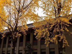 -四川大学(望江校区)