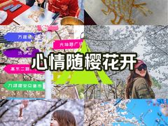 -高东镇樱花园